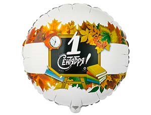 Воздушный шар Круг на 1 сентября (Школьные тетради) - фото 9758