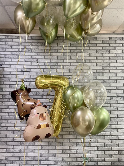 Набор воздушных шаров "Капибара" 3469
