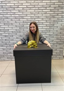 {{photo.Alt || photo.Description || 'Коробка для воздушных шаров Черная 60х60х60 см'}}