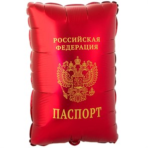 {{photo.Alt || photo.Description || 'Воздушный шар в виде паспорта'}}