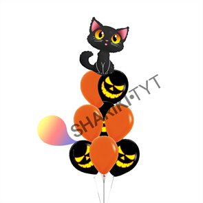 Фонтан из воздушных шаров «Хэллоуин, кошка»
