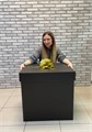 Коробка для воздушных шаров Черная 60х60х60 см 3304