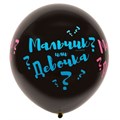 Шар для определение пола ребенка "Мальчик или девочка" 2748 Шар для определение пола ребенка "Мальчик или девочка" 2748